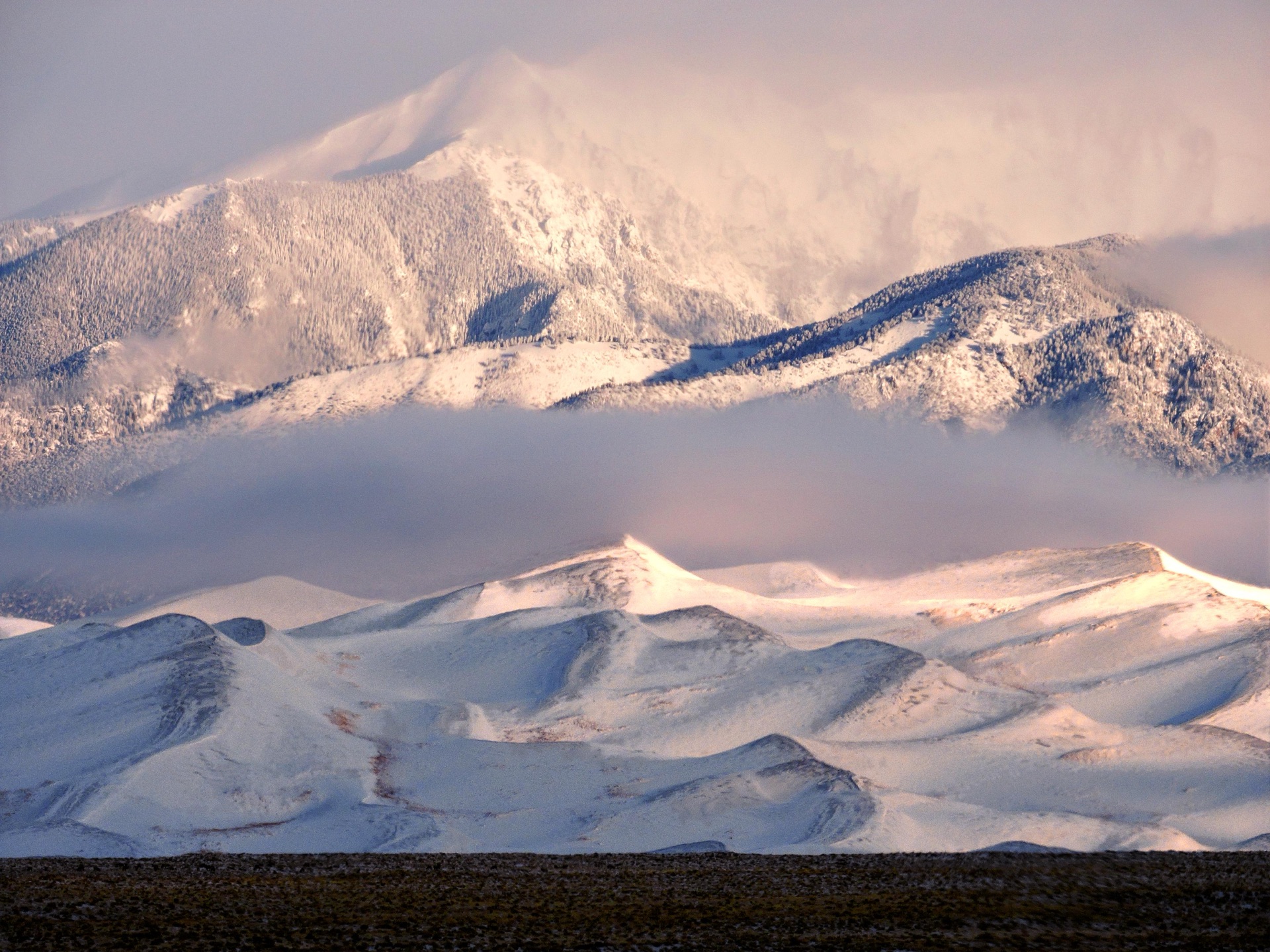 Valley fog refuses to lift. Autumn mist settles for days. — vision 1